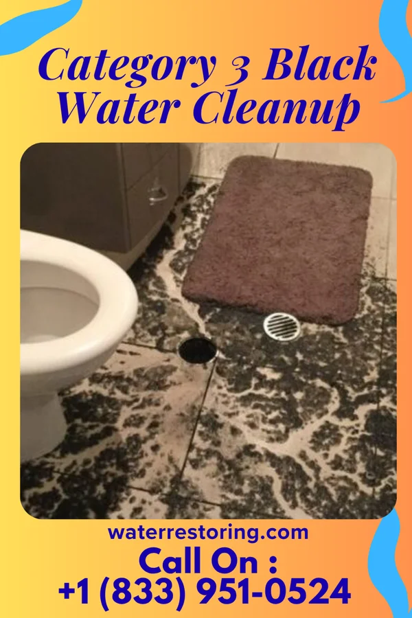 Category 3 Black Water Cleanup in Westwood, KS