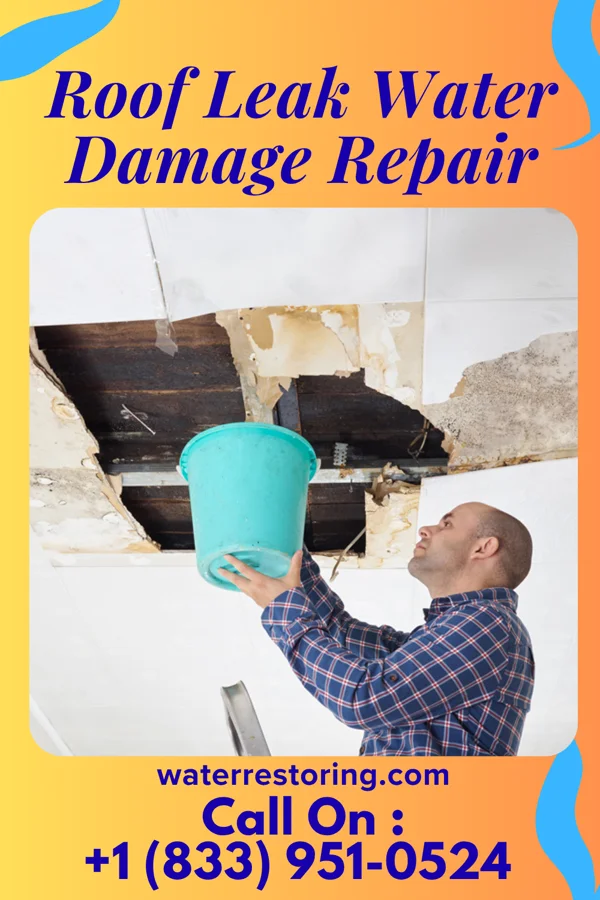 Roof Leak Water Damage Repair in Westwood, KS