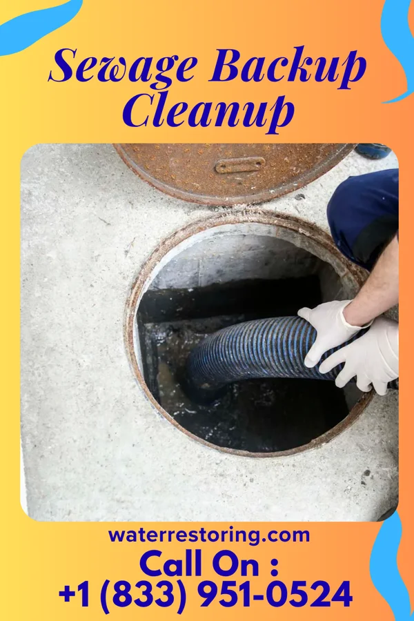 Sewage Backup Cleanup in Westwood, KS